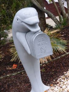 dolphin mailbox