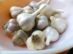garlic in bowl