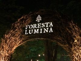 hay sign: Foresta Lumina