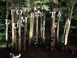 trees sign: Foresta Lumina