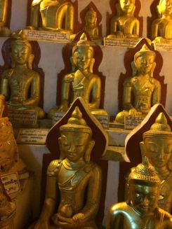 rows of golden Buddhas
