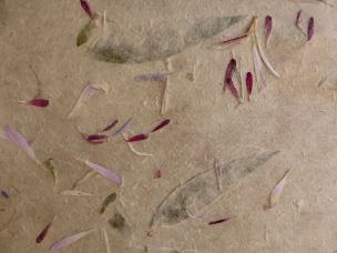 mulberry paper close-up