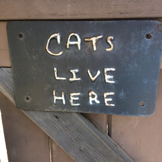 outdoor sign: "cats live here"
